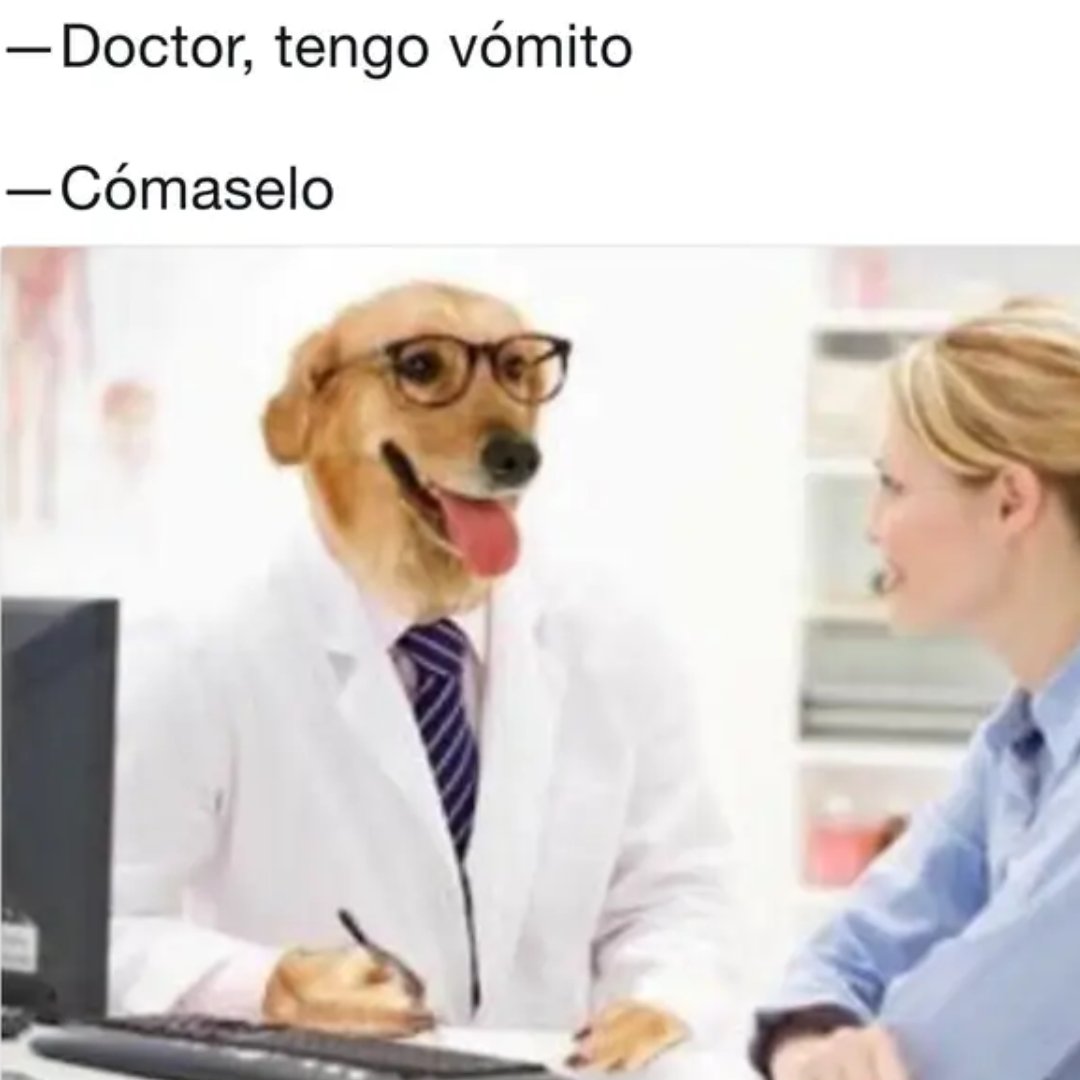 D_todo's tweet photo. En honor al episodio de hoy, en el que conoceremos a la Escuela Superior de #Medicina del @IPN_MX 💊🩺, te presentamos nuestros #memes favoritos sobre doctores 😅.

¿Cuál te gustó más?

(Crédito a los autores originales de los gráficos). https://t.co/NzJkGRUkou