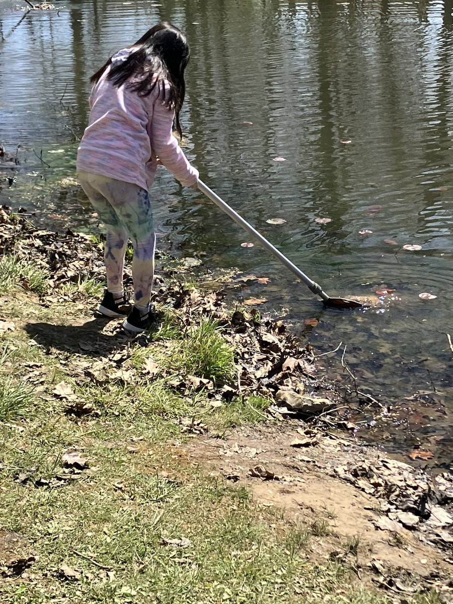 Franklin Elementary tweet media