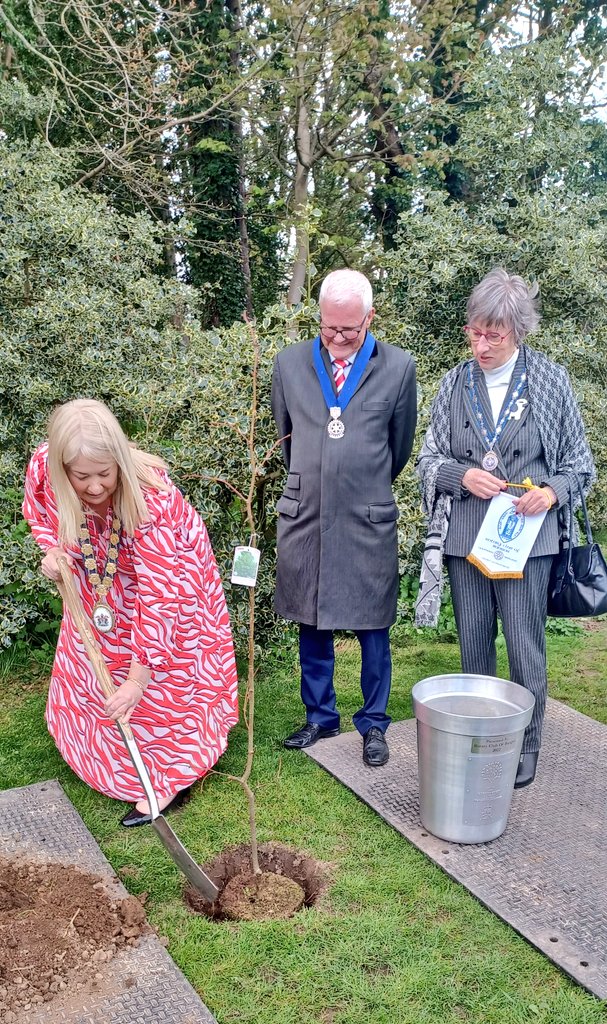 KarenDouglas_NI's tweet photo. Honoured to join fellow Rotarians to plant the #BangorRotary Platinum Jubilee Lime tree today in #CastlePark as part of @QGCanopy in the company of Bangor Horticultural Society #Stand4Trees #MoreTreesPlease @ANDborough @RotaryGBI π³π² https://t.co/Xz9duL1SZN