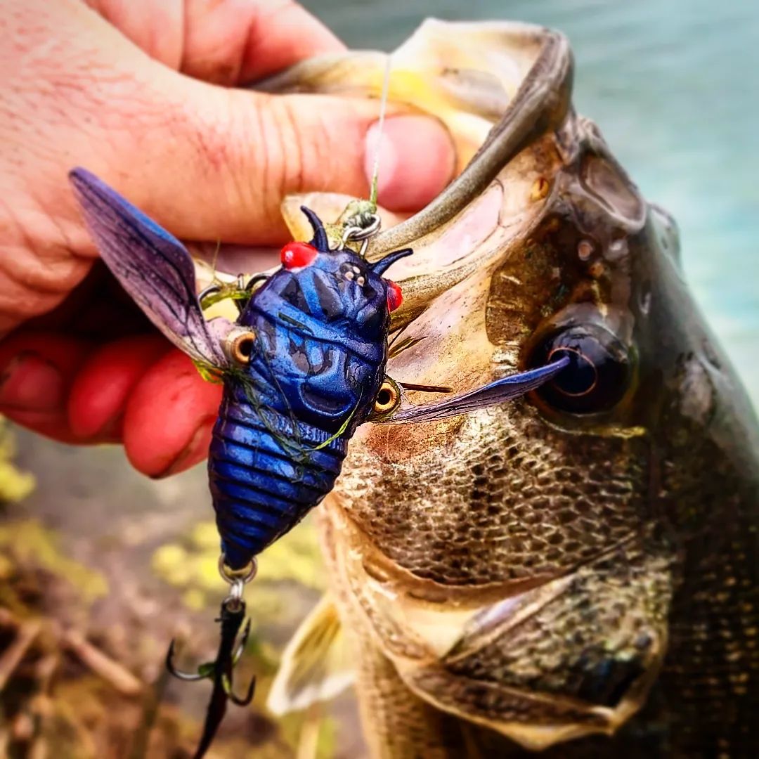 Chasebaits tweet media