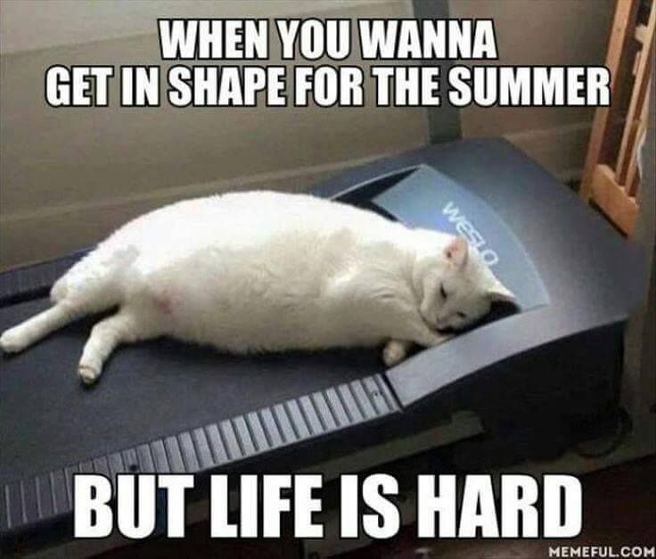 FitCoachFL tweet picture