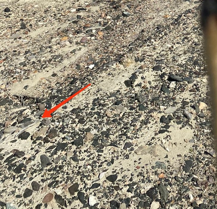 Piyush K (newdeworld) tweet media