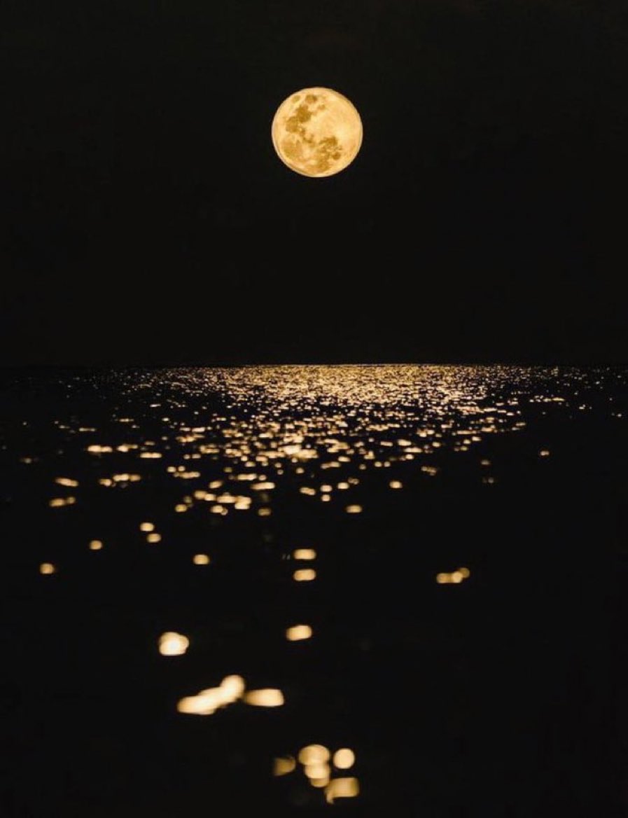 moonloverxjpg's tweet photo. reflejo de la luna https://t.co/AXmTRZHWjY