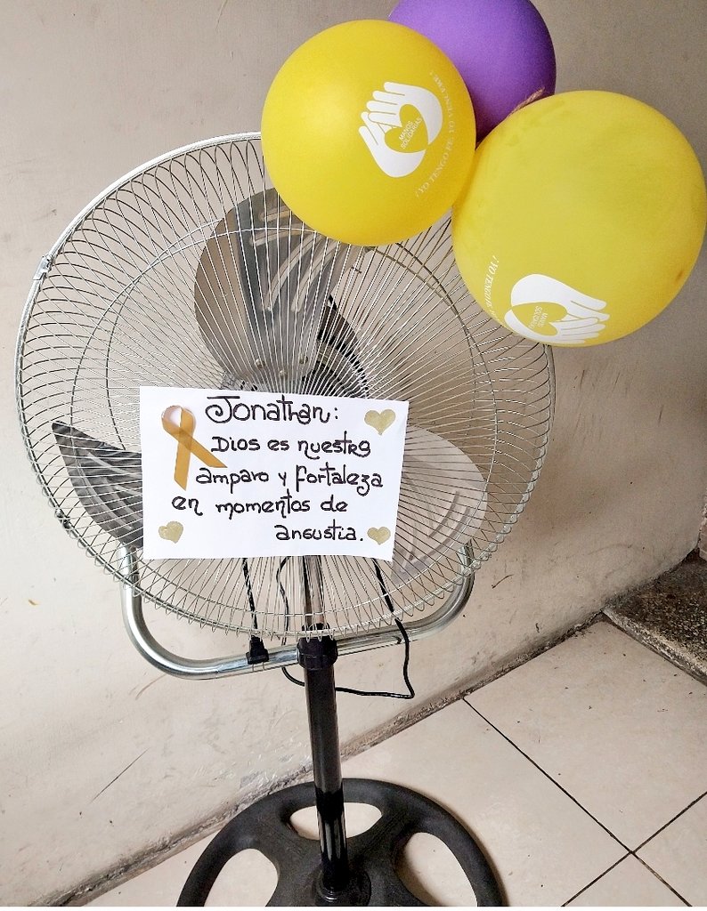 PaolaSmith2812's tweet photo. Gracias por "ventilar" Solidaridad a pequeños que luchan contra el cáncer 💪🏽🎗❤️ Jonathan feliz y agradecido ❤️ Quinto ventilador entregado 🙏🏽 #soyavoluntariaintensa ❤️🎗💪🏽 #donaunventilador #refresca #ayuda #Bendice ❤️ https://t.co/VLC8Rv8E4b