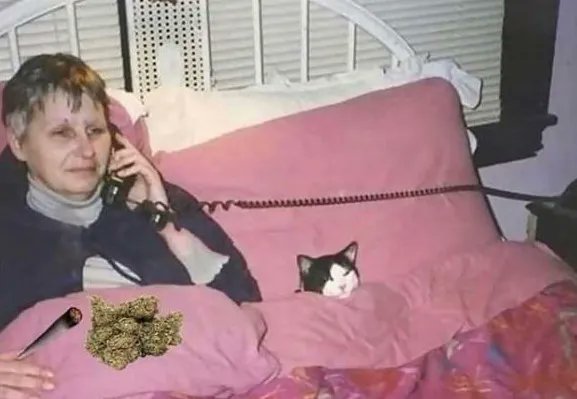 GeniusPothead's tweet photo. "Yea, I can't come out tonight. Super busy." https://t.co/u2x4IYMtt1