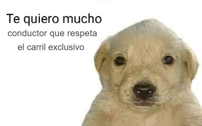 MetrobusCDMX's tweet photo. A quienes invaden y no respetan el viaje de las personas que van a bordo de los autobuses, a esos no. 😒 https://t.co/IcI77HfUe5