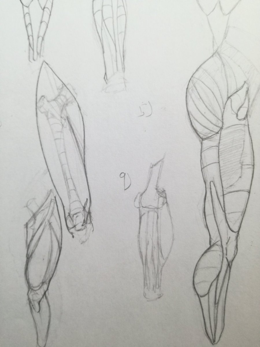 Arnold_draw's tweet photo. Mmmm legs😈

#legsopen #anatomy #art #sketch #sketchart https://t.co/PuOyYMsTNy