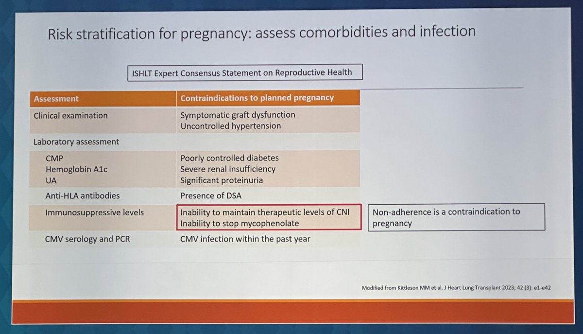 Luise Holzhauser, MD tweet media