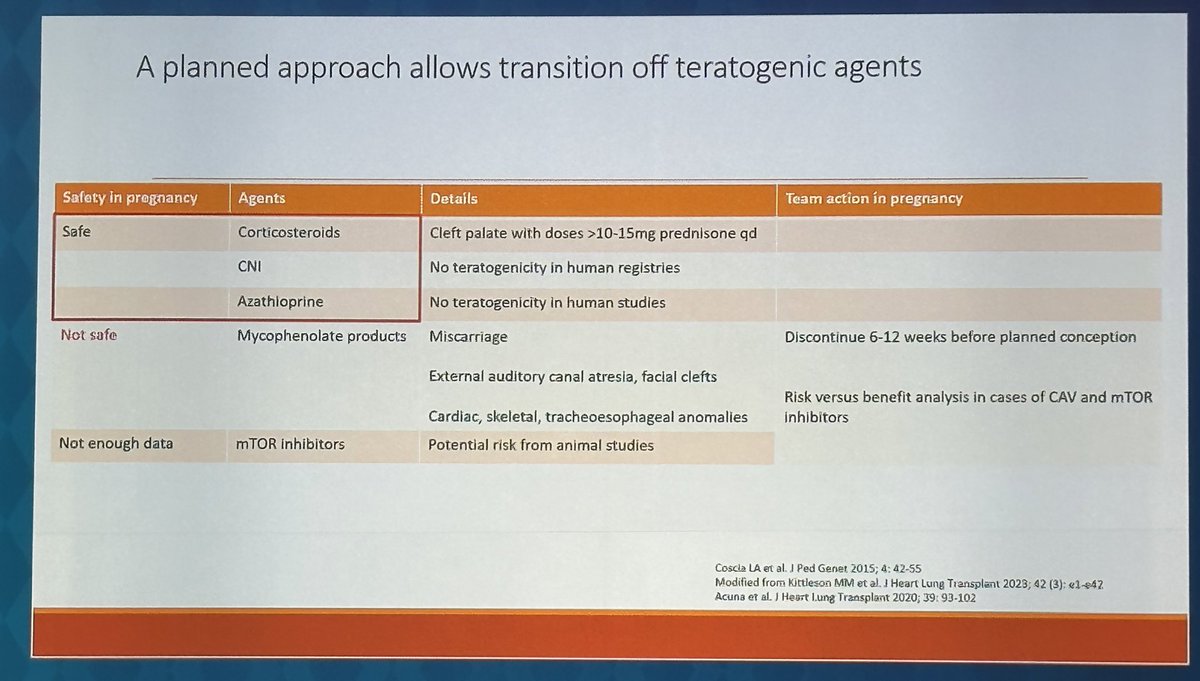 Luise Holzhauser, MD tweet media