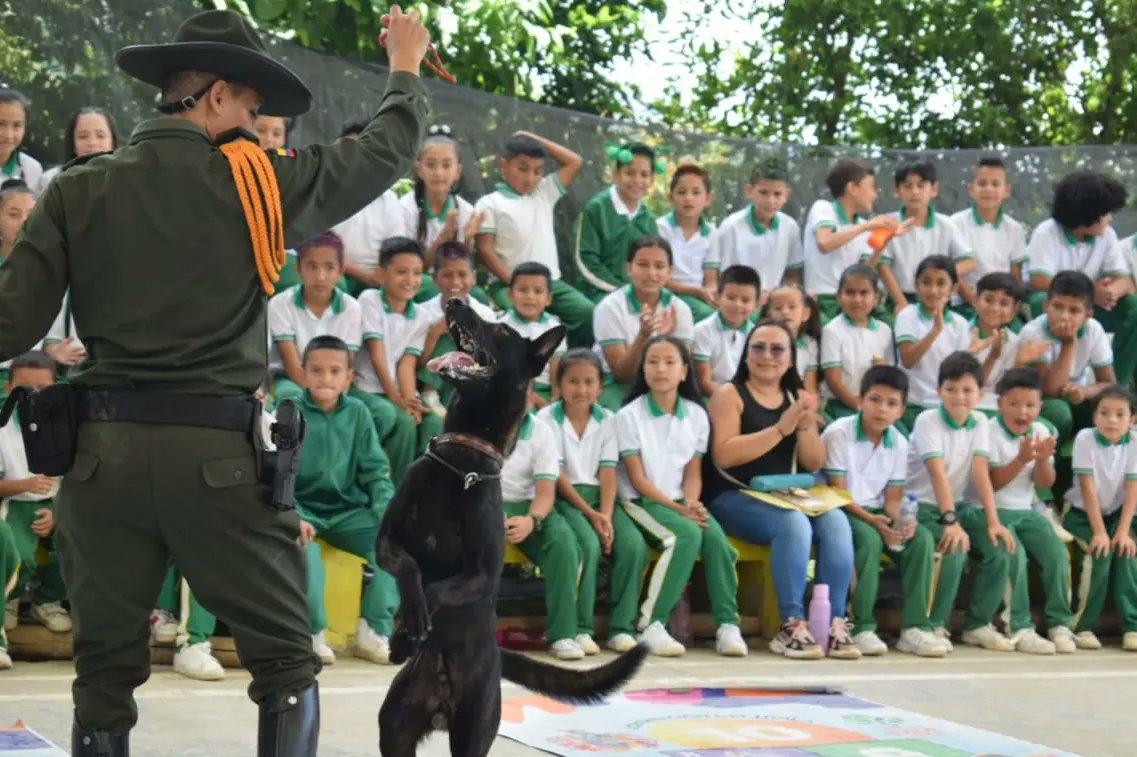 HuilaPolicia's tweet photo. Las caravanas por la vida han permitido la disminución de los delitos sexuales en el Huila, hoy estuvimos con 120 niños y niñas de Timaná a quienes les entregamos las herramientas suficientes para prevenir la vulneración de sus derechos. #DiosYPatria https://t.co/ReaBsetPLT