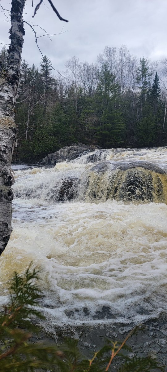 GSn04401's tweet photo. Variations on a theme for #aprilwaterchallenge courtesy of Little Wilson Falls this afternoon. #springmelt #getoutside #mainethings https://t.co/llfgOaJ7UD