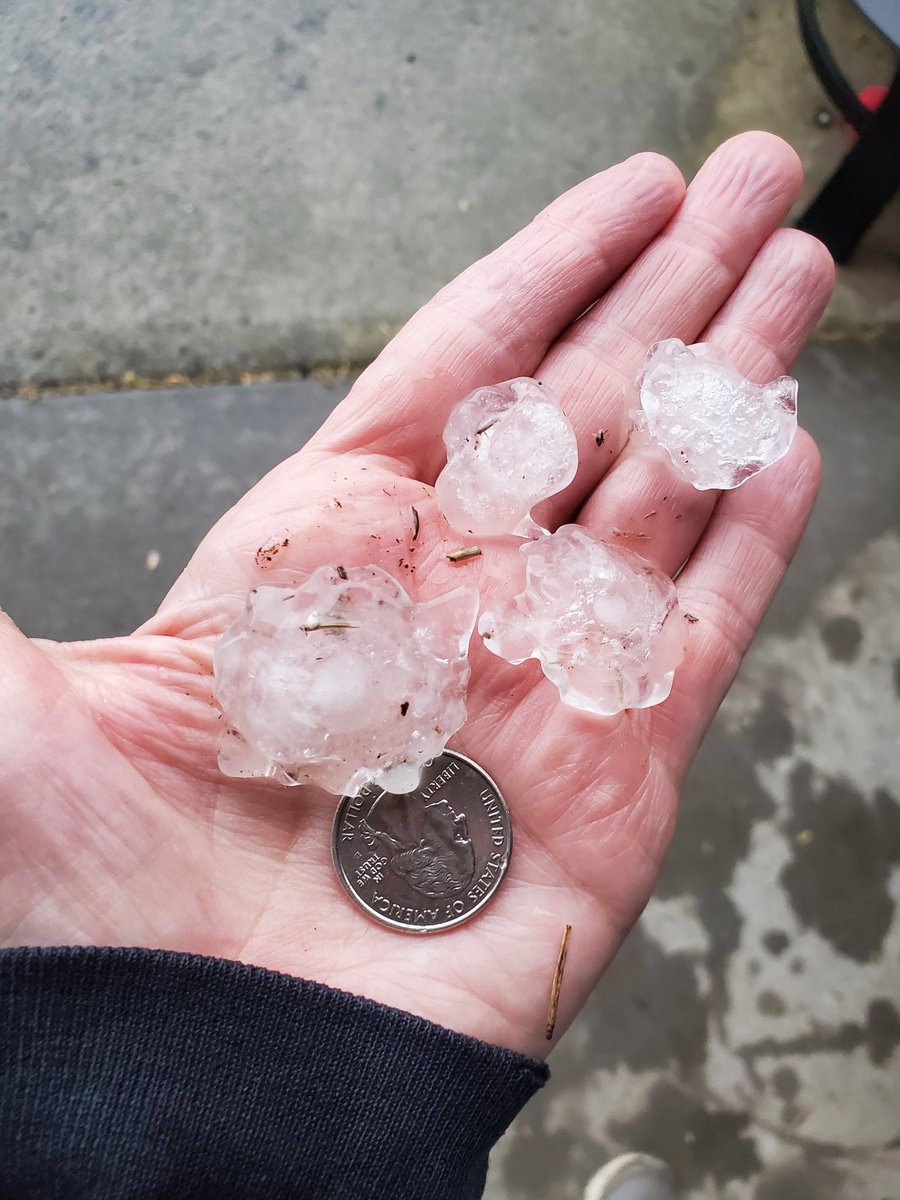 ceabbott1's tweet photo. @NWSNorman NW 36th &amp; Tecumseh in Norman. Just had hail pass through. Mostly pea size but some larger hailstones. https://t.co/slIY8YaVdM
