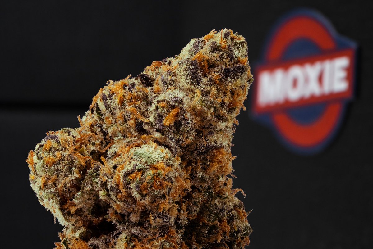 What you smoking on tomorrow?