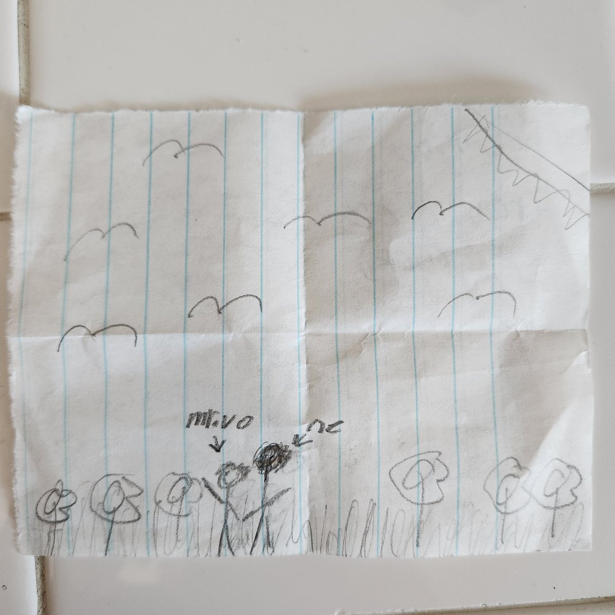 pedavogy's tweet photo. One of my students drew this for me today. Sadly, she's spot on with the height difference. 🤷‍♂️ https://t.co/vqPLG4lK64