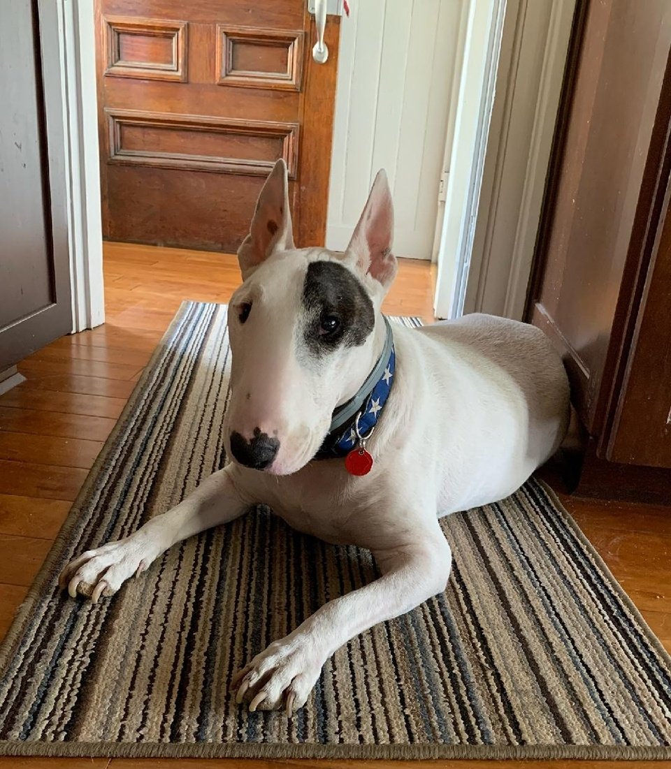 People sometimes knock on our door, or turn around in our driveway.  A young black man walks down our street regularly to go to the basketball court.  People have approached us in the front yard asking for directions.  We haven't shot any of them.  Just saying.
#StopTheShooting