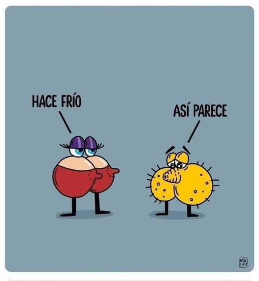 Como que ya empezó a hacer frío en las noches