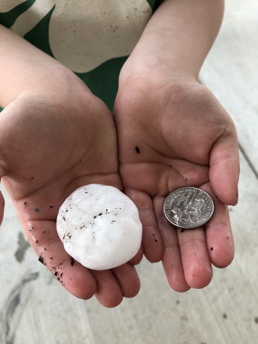 Gaea (Wimmer) Hock tweet media