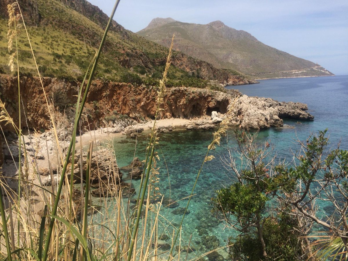 skinsofreality tweet media