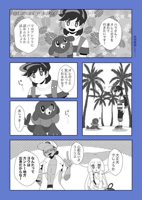 僕がサンムーン漫画を描いたらこうなりました
ヨウアシ要素含む 