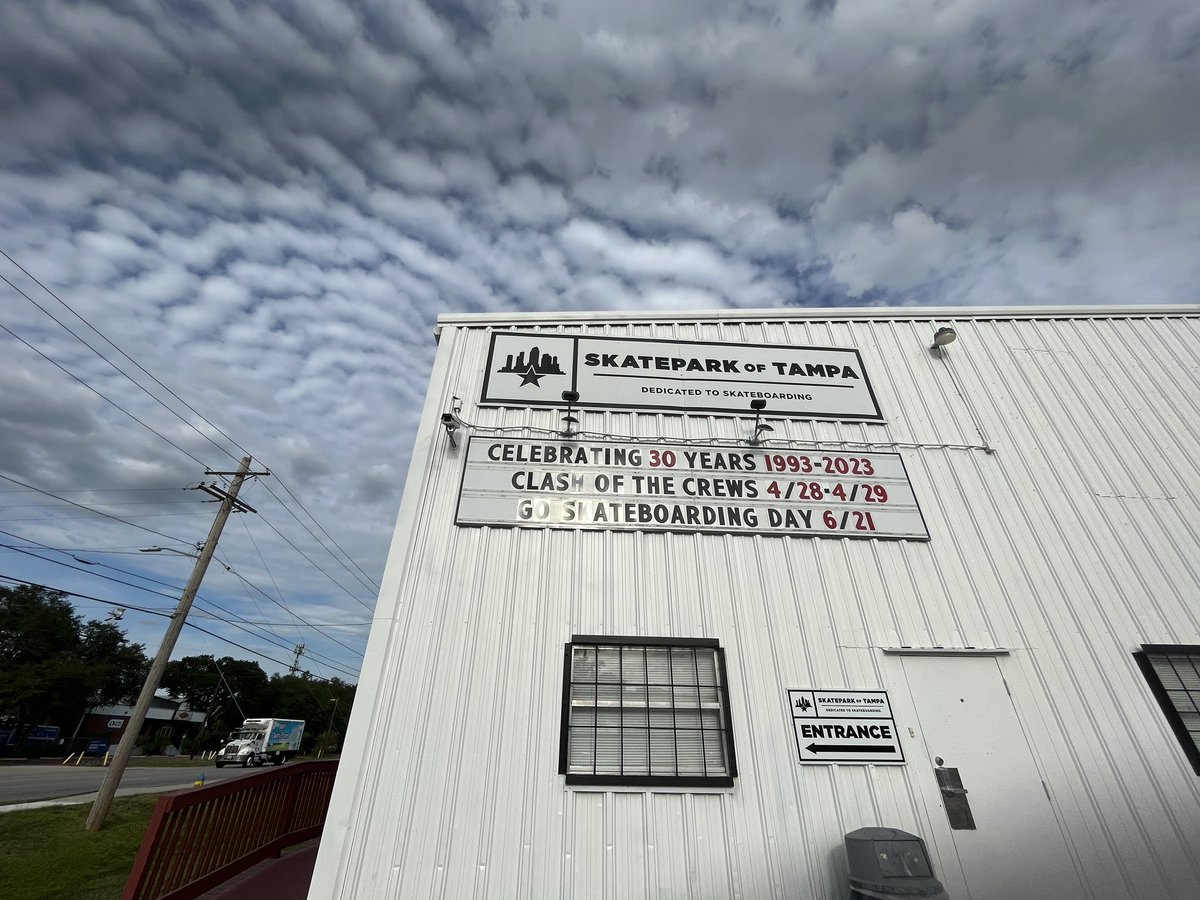 Seananigans tweet media