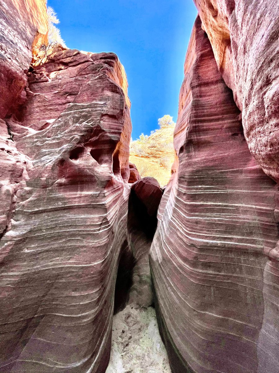 myzionvacation's tweet photo. Elkheart Slot Canyon! Definitely something to check out during your Southern Utah vacation!
Read all all about it at https://t.co/D2FedBAfsV
#myzionvacation #adventureblog #slotcanyon #redrocks #visitsouthernutah https://t.co/L2svQefdL3