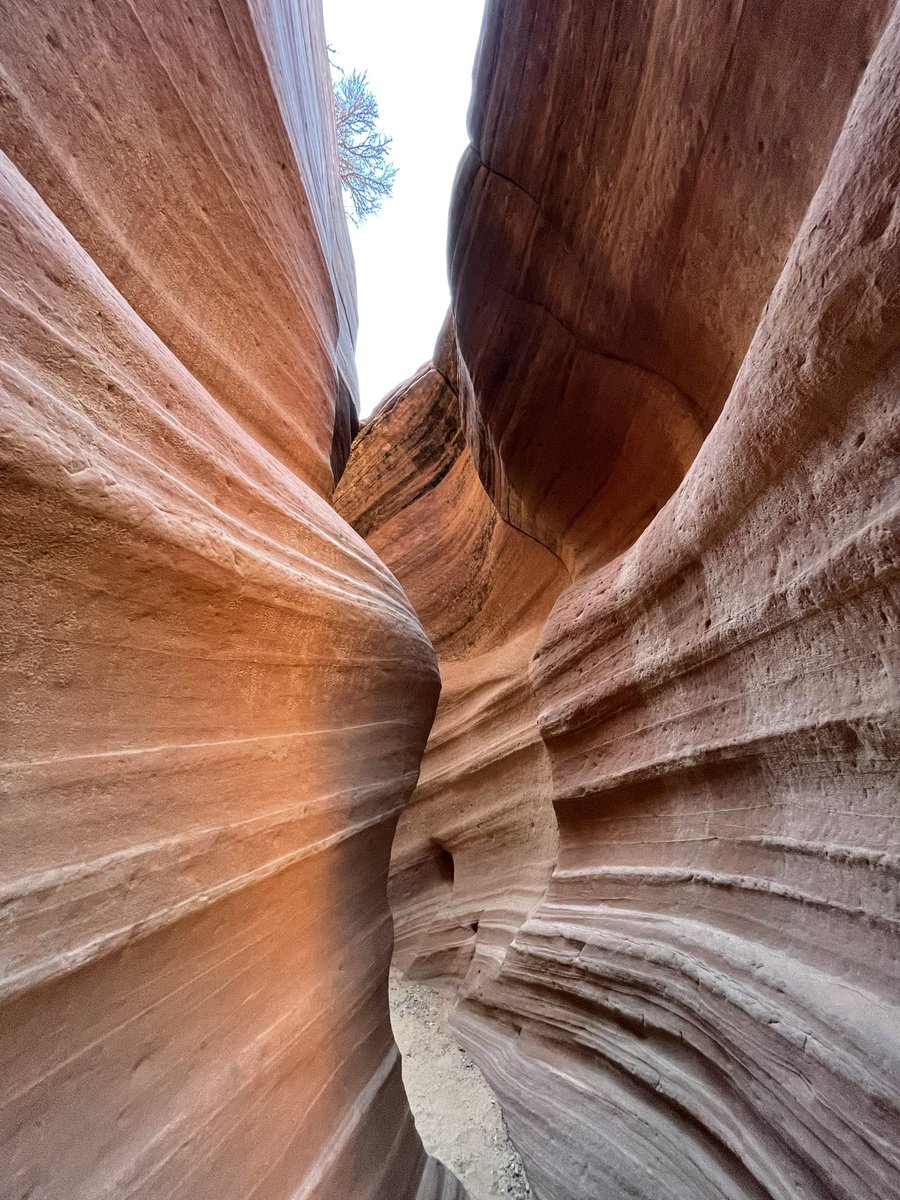 myzionvacation's tweet photo. Elkheart Slot Canyon! Definitely something to check out during your Southern Utah vacation!
Read all all about it at https://t.co/D2FedBAfsV
#myzionvacation #adventureblog #slotcanyon #redrocks #visitsouthernutah https://t.co/L2svQefdL3