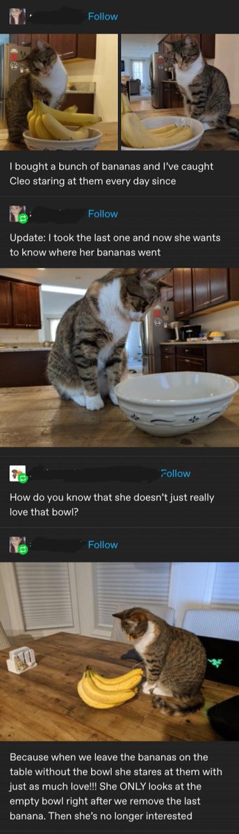 WholesomeMeme's tweet photo. https://t.co/ekCQagBufC