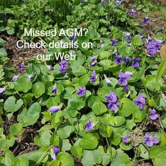 In case you missed AGM last Saturday afternoon, you can check details online bmbtc.org/about-us/annua…
#agm #BMBTC #brucetrail