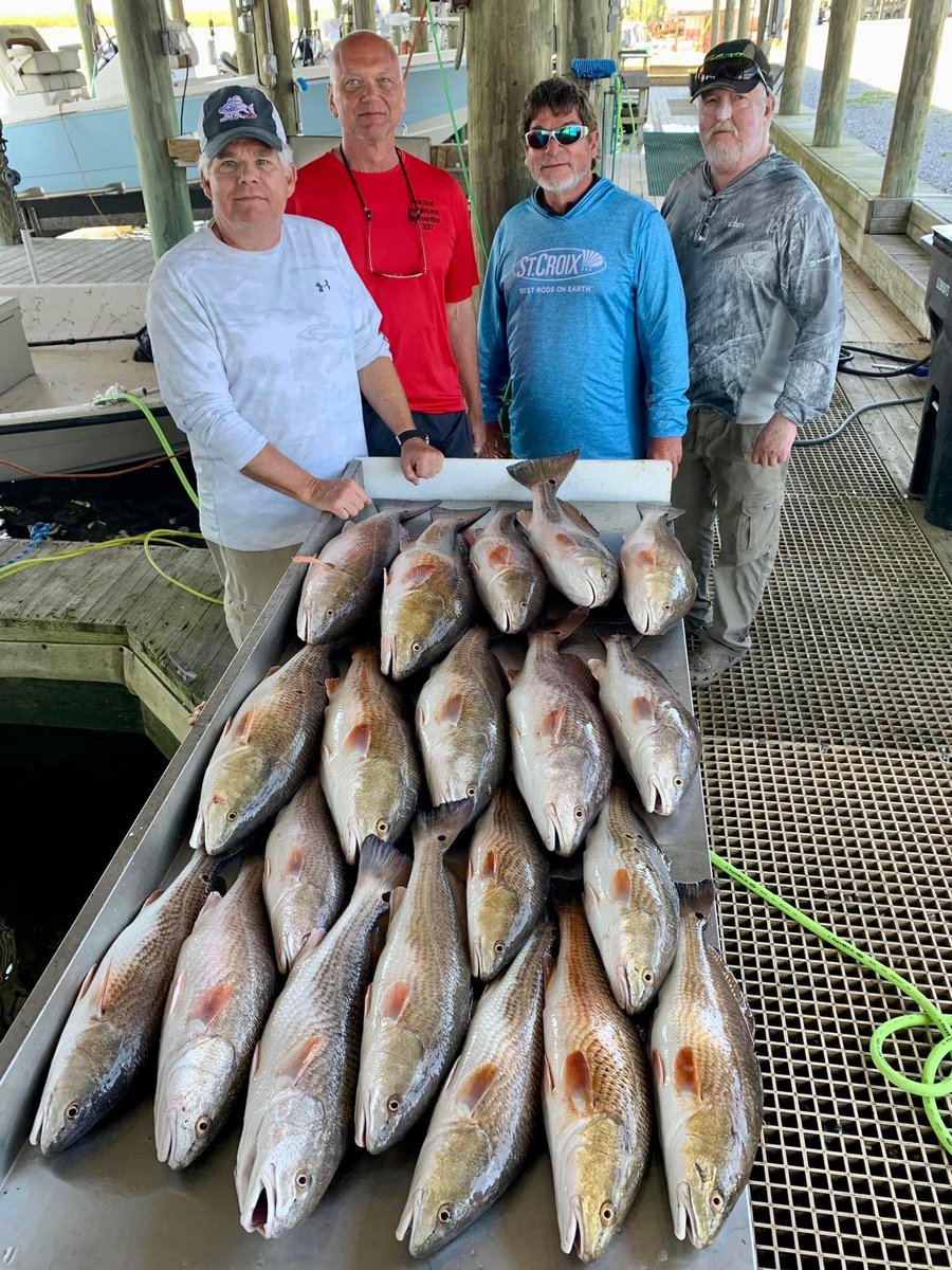 dufrenesguide's tweet photo. 3rd day for this Wisconsin crew and they slayed the #redfish . #DufreneGuideService #MinnKota
#Humminbird
#Raptor
#Solix
#OPTIMAbatteries
#BomberLures #PennFishing #BerkleyFishing
@MinnKota
@Humminbird
#MajekBoats
#Spiderwire https://t.co/5B7ZxUBSFq