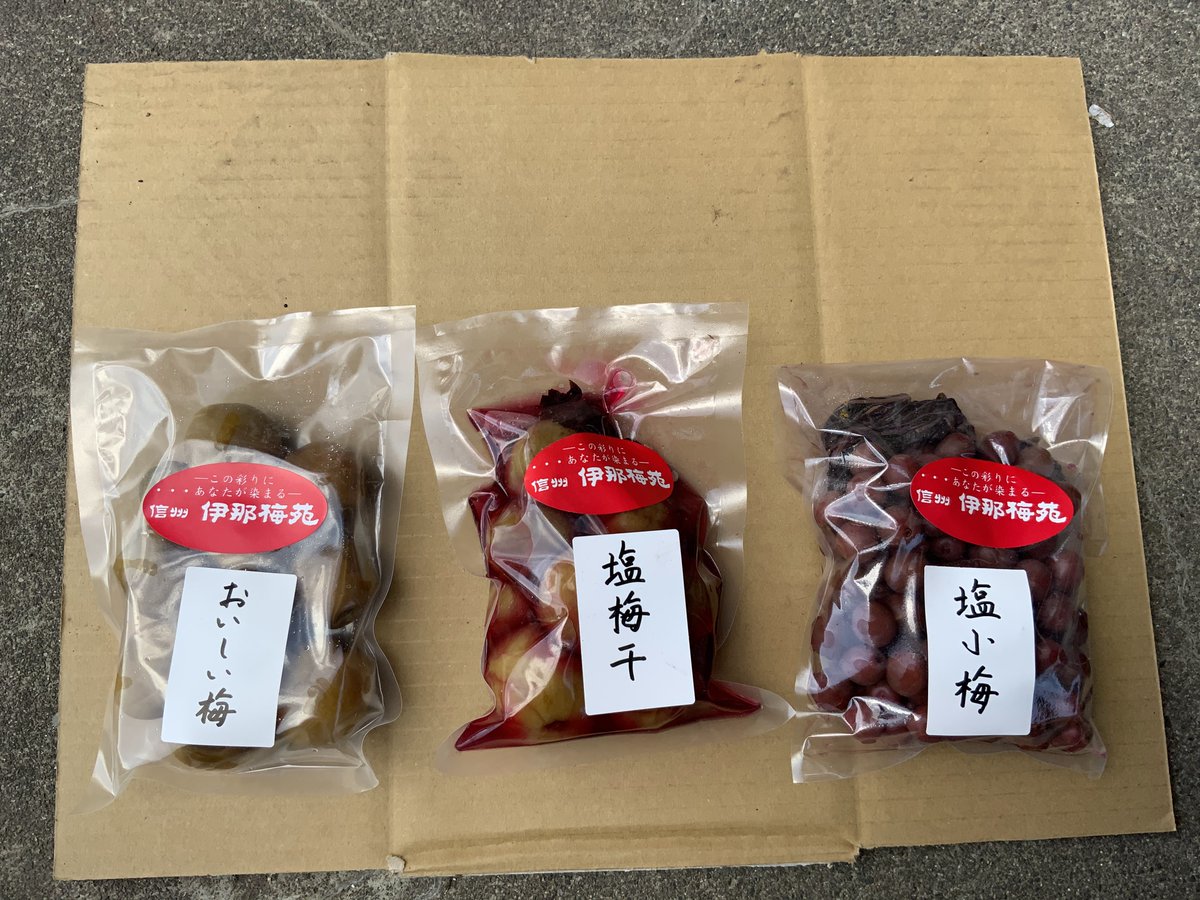 inabaien's tweet photo. おはようございます♪
信州伊那梅苑でございます。

本日も良いお天気ですね＾＾
皆様に、信州伊那梅苑でノンビリ過ごして欲しいです。

苑内飲食自由です！お弁当を持って遊びに来て下さい♪
売店では自慢の���味しい梅が購入出来ます。

#伊那 #信州伊那梅苑 #開花情報 #観光 #梅  #花  #花桃 #開苑 https://t.co/0r9ahHo1PD