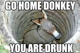 donkeycoineth's tweet photo. I went to the bar, they sent me home... Gonna $cope my way back HA HAAA wish me luck 

#HEEHAWW $donkey https://t.co/YpPFhx0EWp