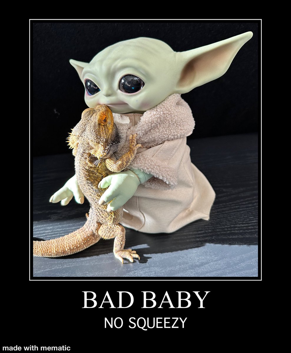 DragonLair4's tweet photo. Is true, Norbie no like squeezy from Din Grogru!!! 

(Iconic scene from the Mandalorian but bearded dragon style 😆💚)
@PedroPascalNews @themandalorian @starwars @TheCarlWeathers
@kateesackhoff 
@AHWAmySedaris 
@quiethandfilms 
@Jon_Favreau https://t.co/y6JX2MWYvB