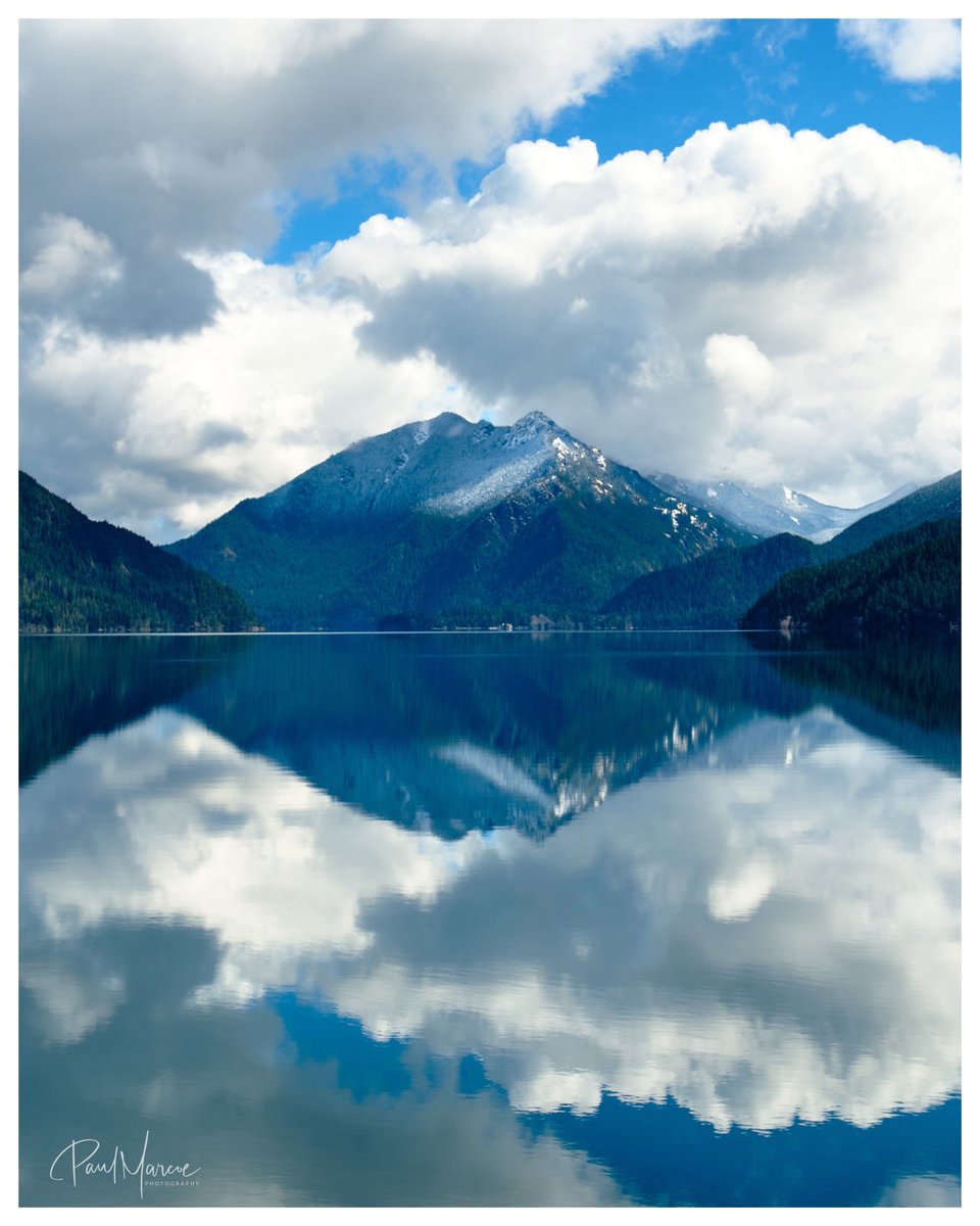 Paul Marcoe | PNW Photographer tweet media