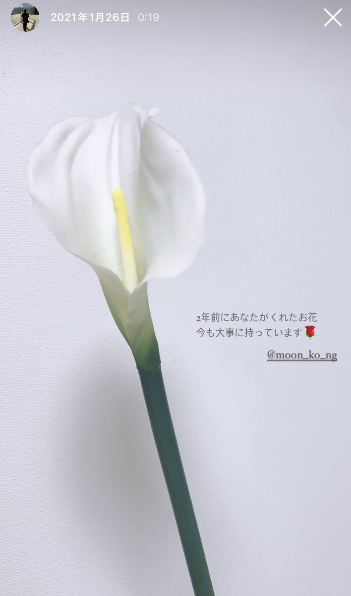 __en_h's tweet photo. ペンミでメンバーが座席まで降りてきた時にムンビンからいただいたお花。当時ナムジャが本当に少なかった中、僕に渡してくれたの🥲
性別とか関係なく誰にでも優しいムンビンがずっとだいすきだよ https://t.co/BztAt1IWdC