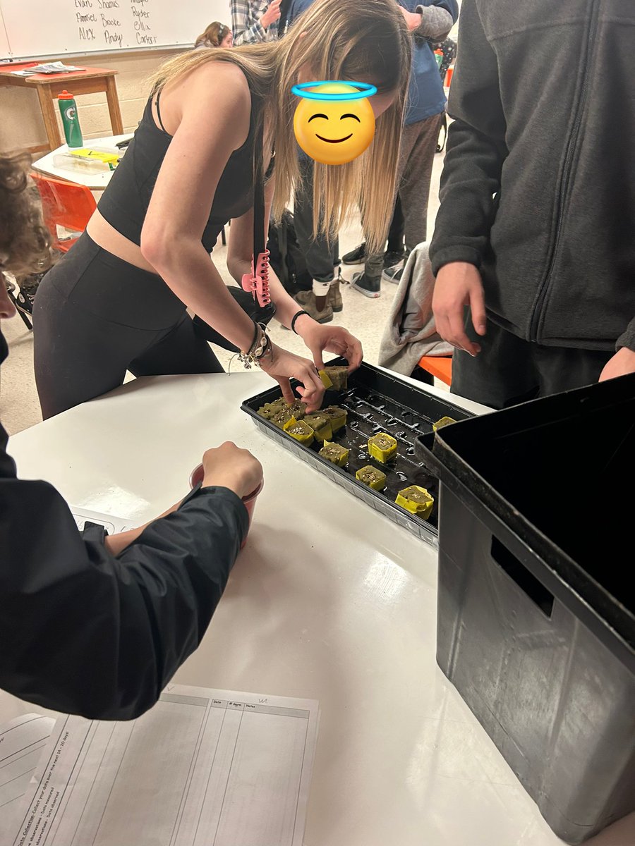 Londyn_Irving's tweet photo. My grade 9 science class managed to put our Hydroponics tower together and started to plant some of their favourite veggies and herbs. Goal tomorrow is to get the basin filled with water and the pump working. Wish us luck! ๐๐ฅ๐ฅฌ #science9 #RHS #photosynthesis https://t.co/Kc2oMKhVHh
