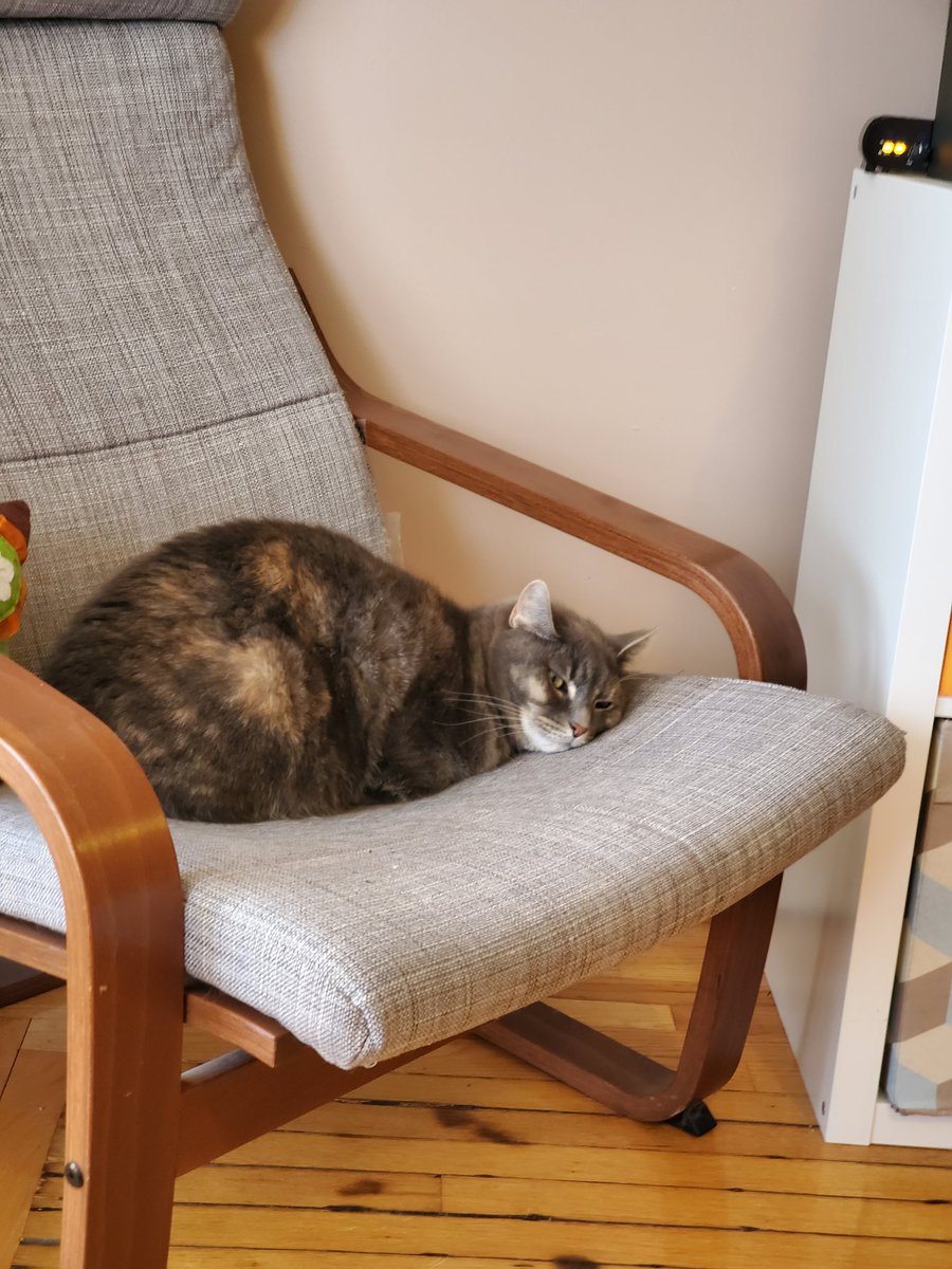 JacobPucci's tweet image. If this is indeed my last verified tweet, let's go out on a high note