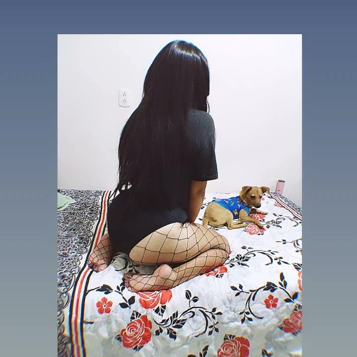 fetish_kitty19's tweet photo. I present to you my baby is called loki ❤❤🐶🐶 you can also follow me on insta https://t.co/oS0LZT29zd #onlyfans_girl  #onlyfansleak #onlyfansbabe  #INSTAGRAM  #girl #onlyfanslatinas #onlyfanspromo  #onlyfans_leaked  #OnlyFansgratis  #Content https://t.co/ndUx4Pvgha