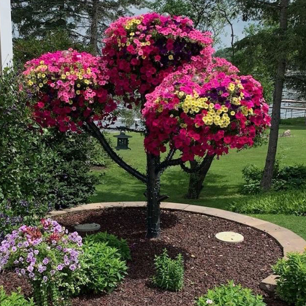 FioreTrees's tweet image. Here is a great example of all post working together to create an amazing tree! #Fioretrees #fiore #italy