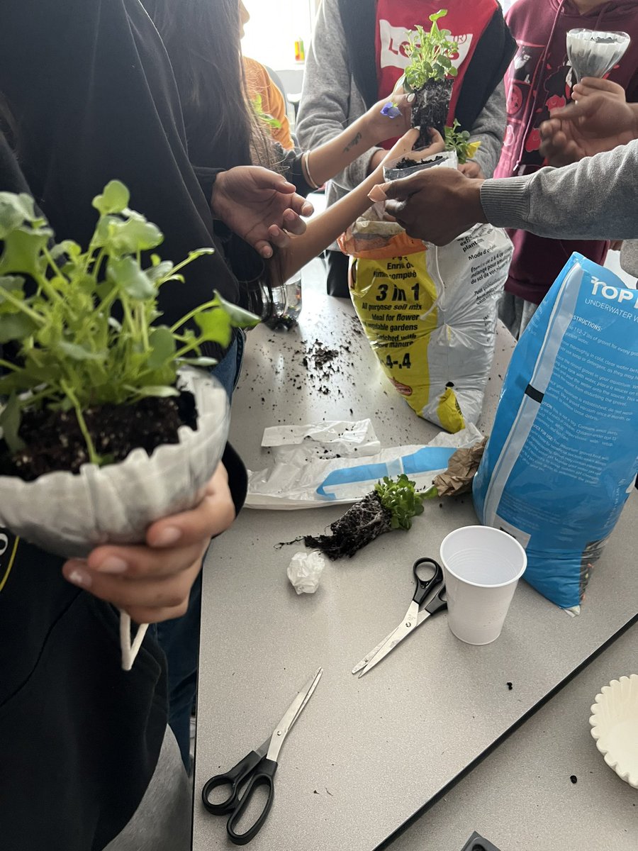 MmeKaur's tweet photo. 6B and 6/7 made eco columns today! We learned about the way that the fish and plants help each other to thrive. 

It’s awesome getting to be a part of these informative projects led by the amazing @ClaireZain 

@TonyPontesPS https://t.co/a4XOb9jpH6