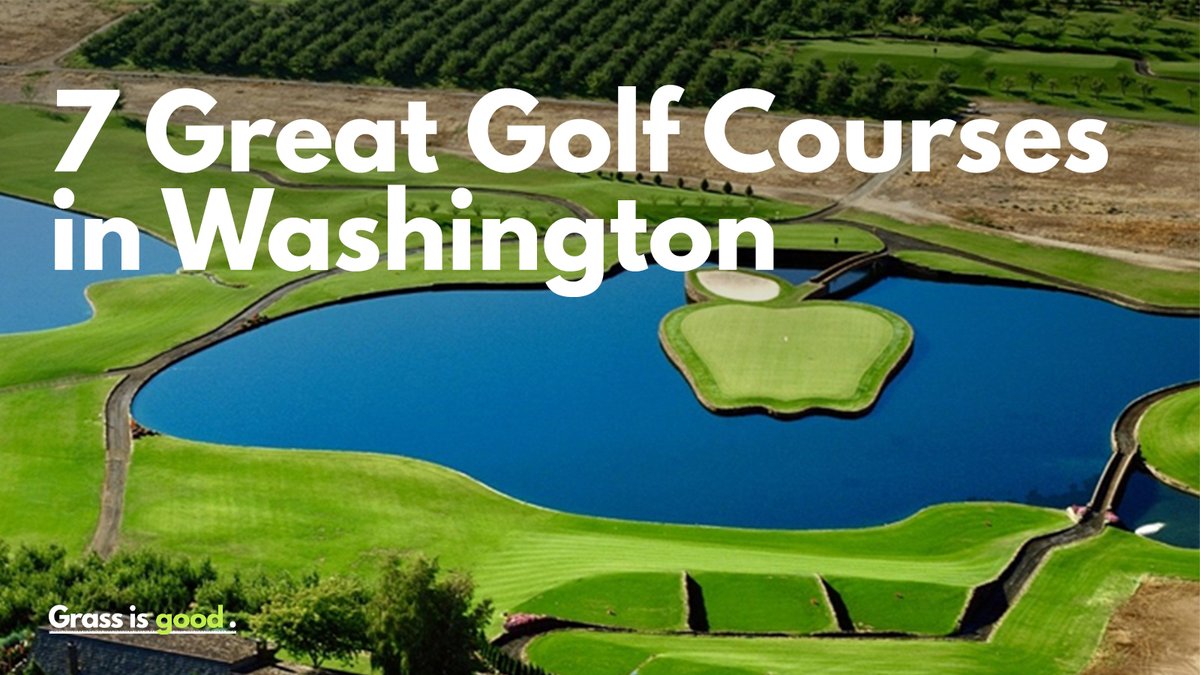 Wanna spend some time with real grass chasing joy? Whether you're a scratch golfer or a beginner, our pals at #grassisgood shared the top golf courses in Washington state. Next time you're in the great PNW, bring your clubs and enjoy the great outdoors! bit.ly/3URMX4O