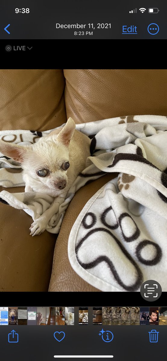 My little dog Joshlynn died last night. I so very upset 😭 🐕🐾💔