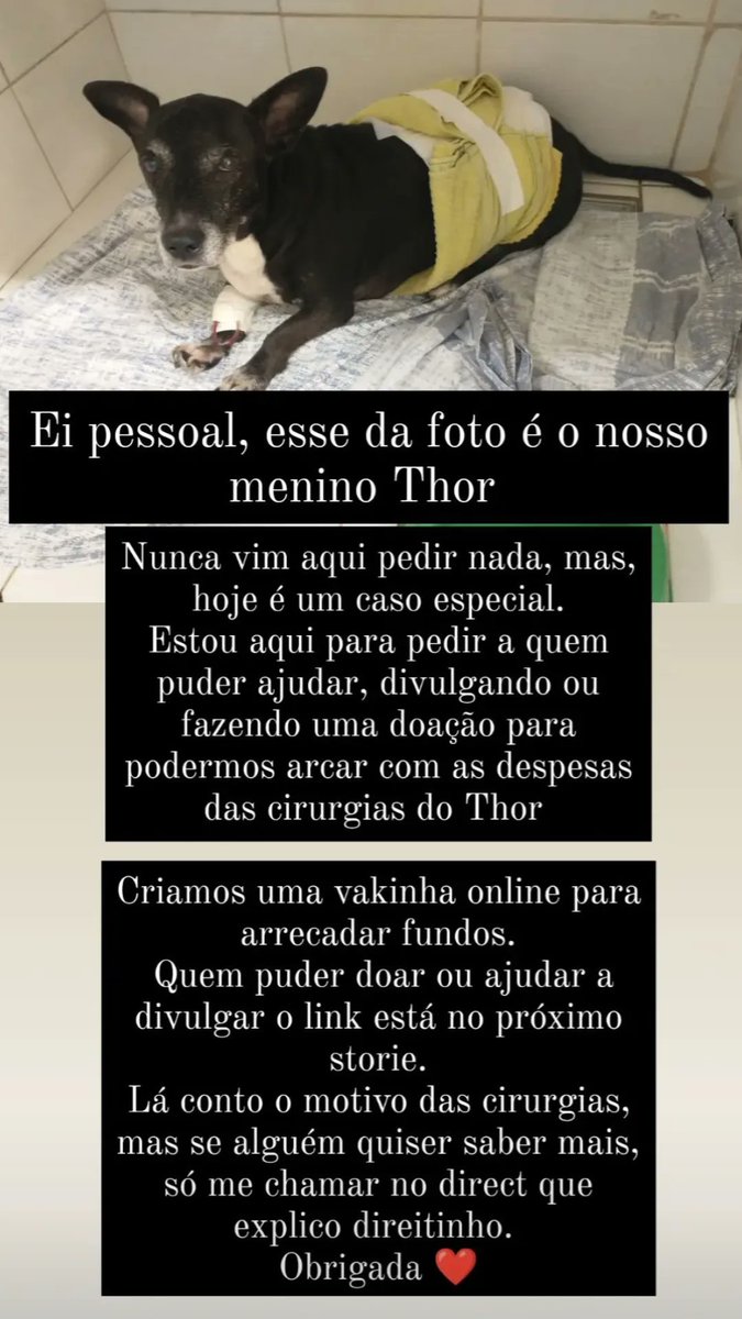 pabllosimao's tweet photo. Pessoal, quem puder ajudar a divulgar agradeço imensamente

https://t.co/aQcH5Y15os

@HenriquevRocha @MatheusLaiola @Arcebispo13 @hevertonfutebol @CJoficialCJ @mariocaixa @Igortep https://t.co/4LmVFNE8FM