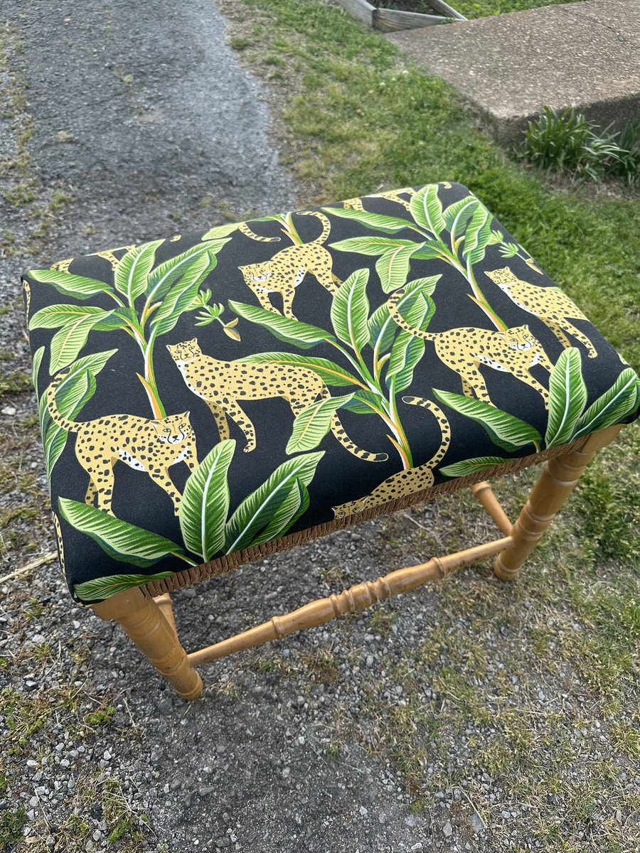 haleyzap's tweet photo. fb marketplace find 🤩🐆🐆🐆 https://t.co/Ck9bZNjyKT