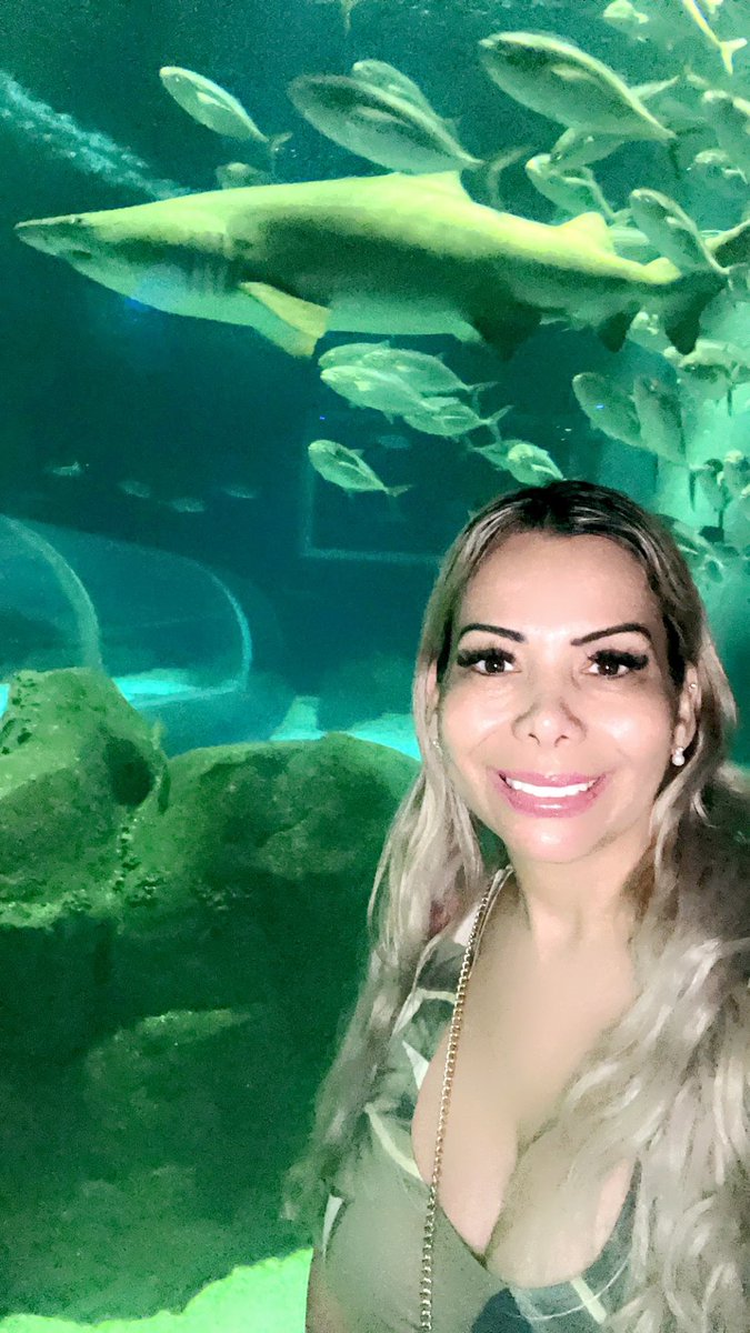 Letilan's tweet photo. Aquãrio no Río que eu tanto queria..
Ficou encantada com cada peixinho, tubarão, amou as arraias demais….. apaixonada é a palavra
🐙🦑🪼🦐🦞🦀🦈 #aquariodejaneiro https://t.co/sf8r3lUlV2