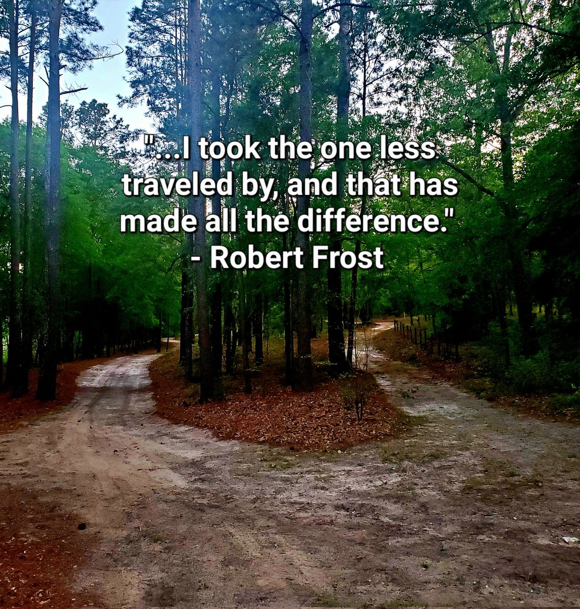 TheHaven_SC's tweet photo. Are you an officer or an LEO family that is struggling??  

Take the road less traveled by and come experience the difference at The Haven. 

#thehavensc #SAVEAHERO #thinblueline #bluelinefamily https://t.co/ZzNMyeurnn