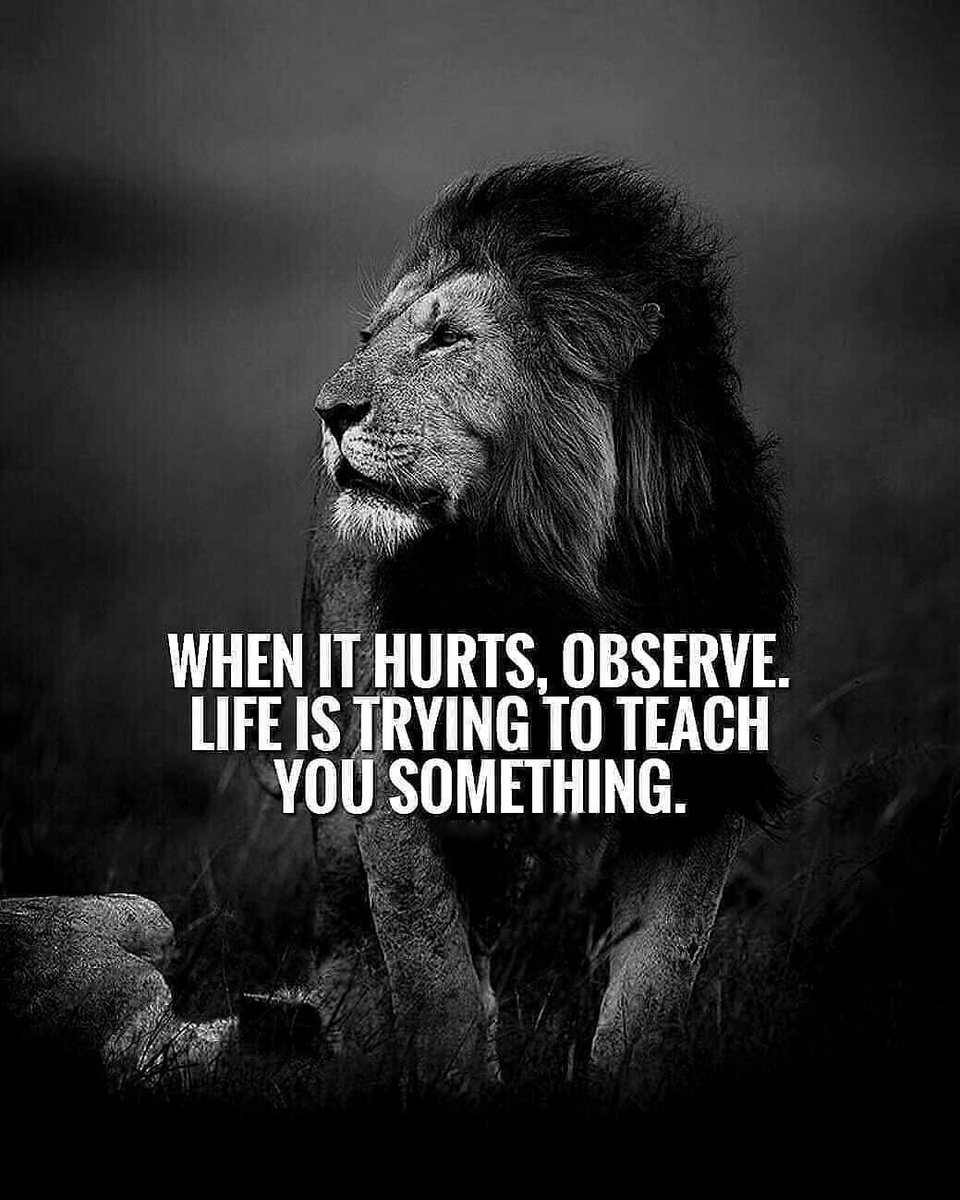 Shelby (@ahmada_shabani) on Twitter photo 