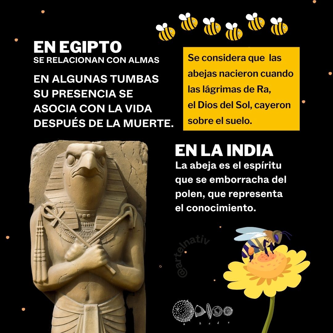 otromundosom's tweet photo. ¡Qué mejor que tomar como fuente de inspiración a las #abejas! 
🐝🐝 Seres que se mantienen muy activos durante la #primavera, un nuevo ciclo natural.  🍃🍃

Consulta referencias y otros datos interesantes en:
https://t.co/Lru2725czs https://t.co/Fmle1Tl2on