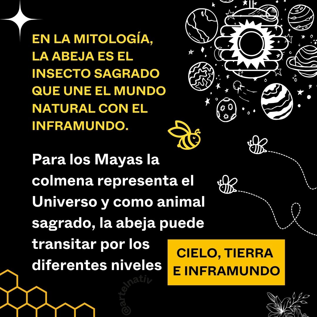 otromundosom's tweet photo. ¡Qué mejor que tomar como fuente de inspiración a las #abejas! 
🐝🐝 Seres que se mantienen muy activos durante la #primavera, un nuevo ciclo natural.  🍃🍃

Consulta referencias y otros datos interesantes en:
https://t.co/Lru2725czs https://t.co/Fmle1Tl2on