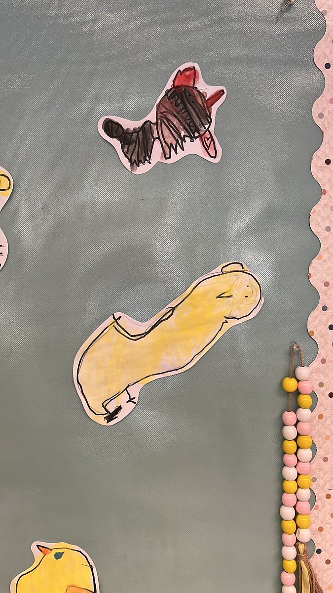 Nicole Banman tweet media