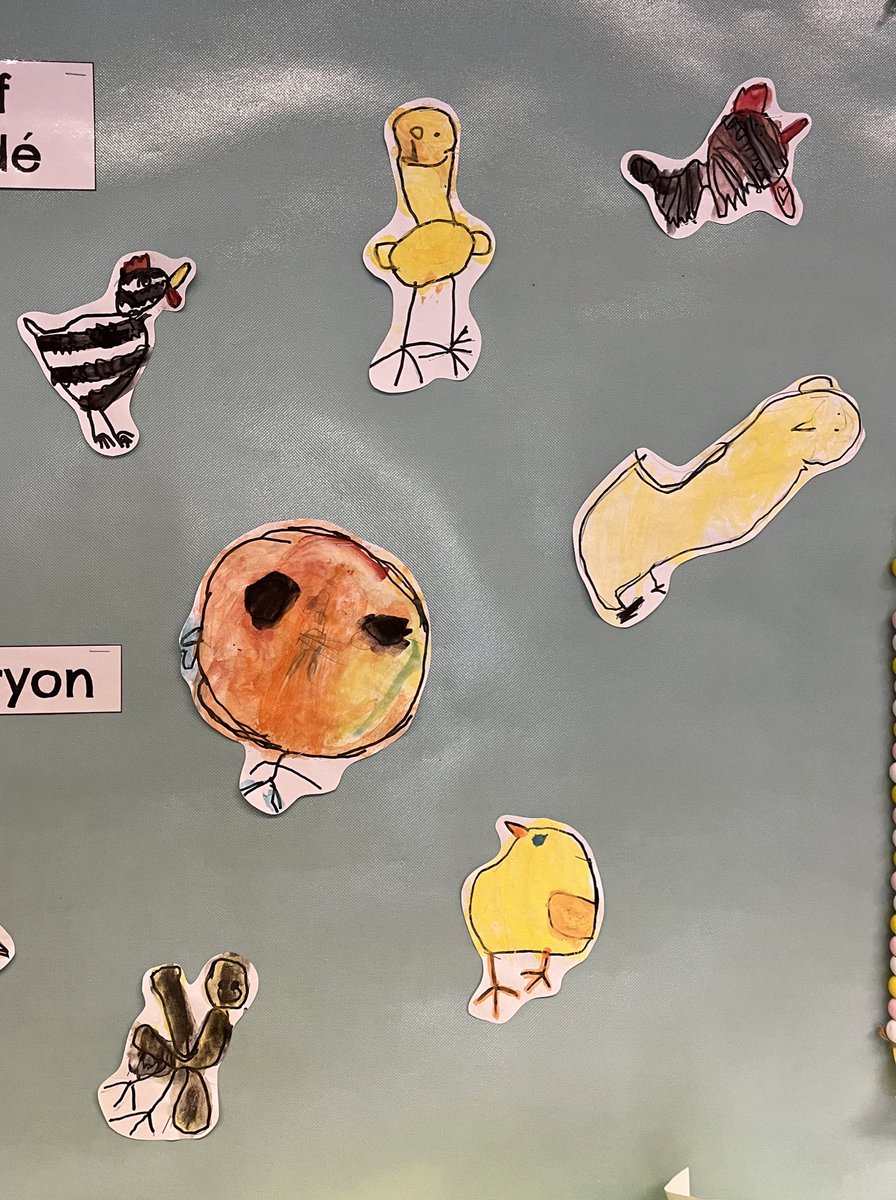 Nicole Banman tweet media